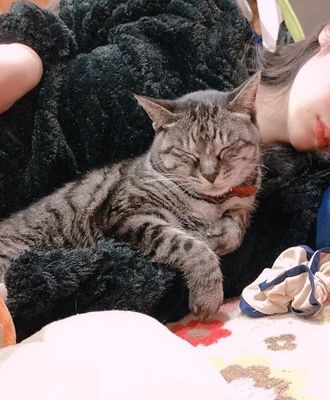0beauty_1607091414729 (3).jpeg